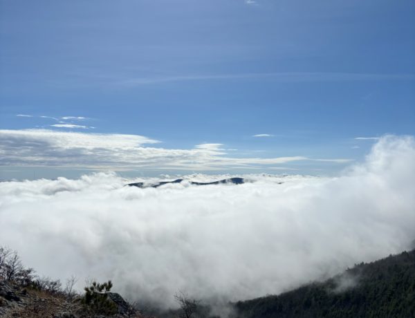 メイン州バーント メドウ山のノース ピーク頂上の雲の上